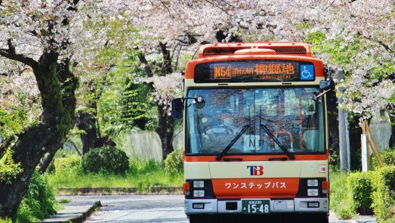 автобусный проездной билет для свободного передвижения по Восточному морю