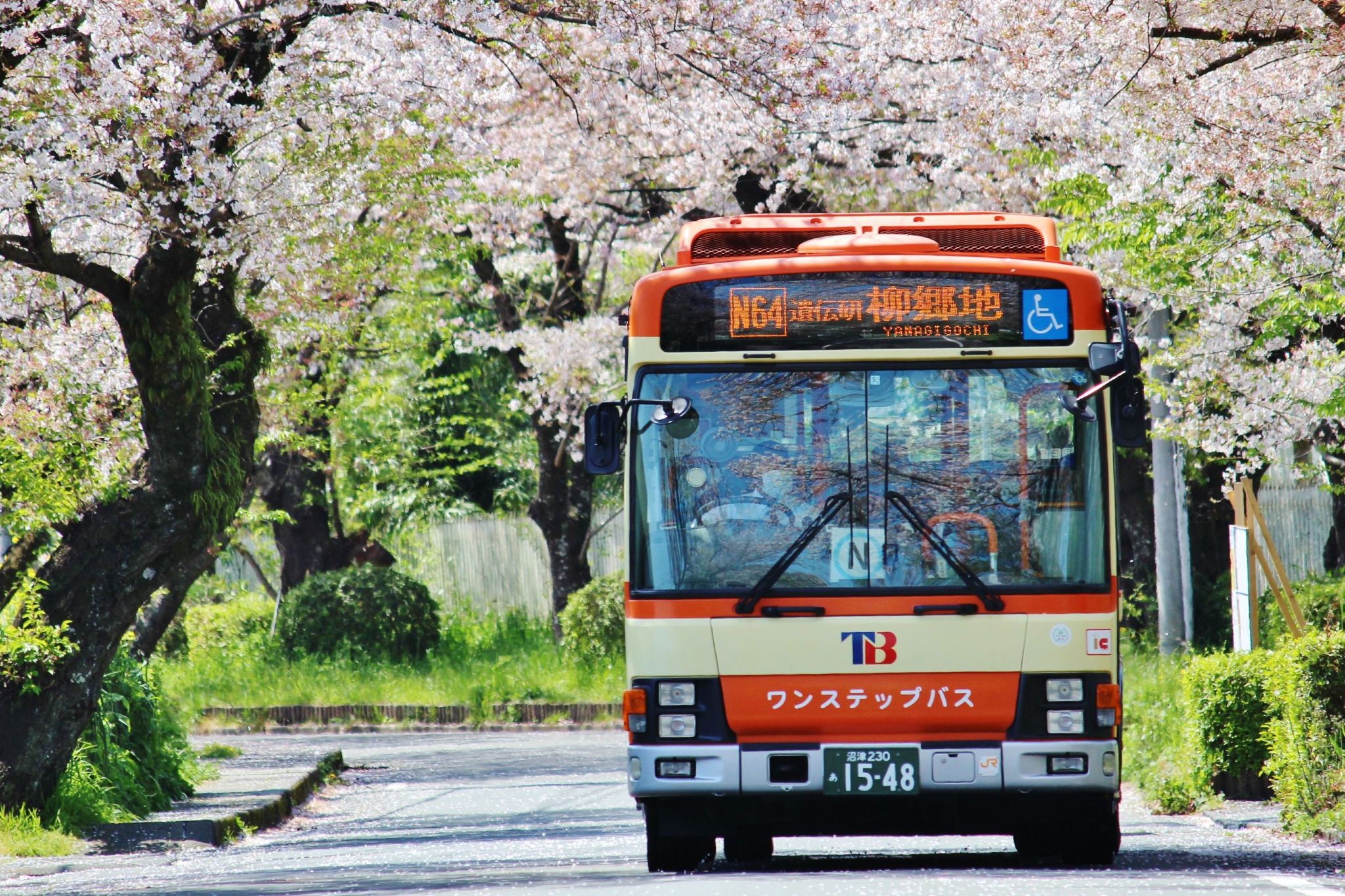 Donghai Bus Freedom Pass