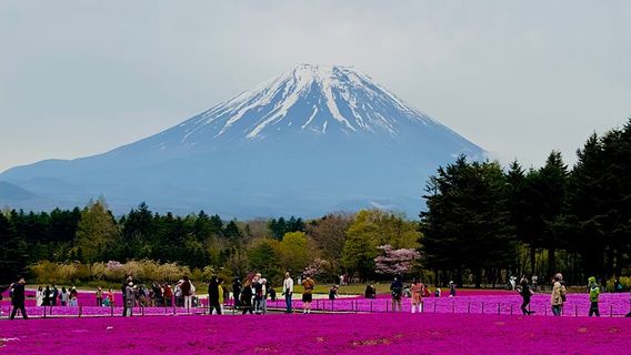 TokyoTours