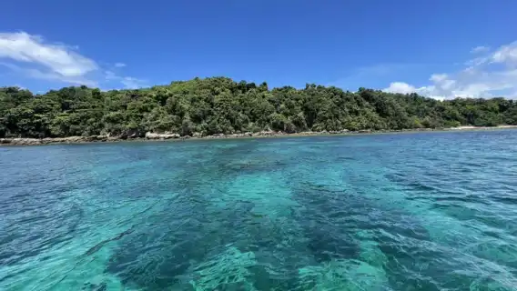 泰國普吉島蜜月島探索潛水水肺潛水4 小時