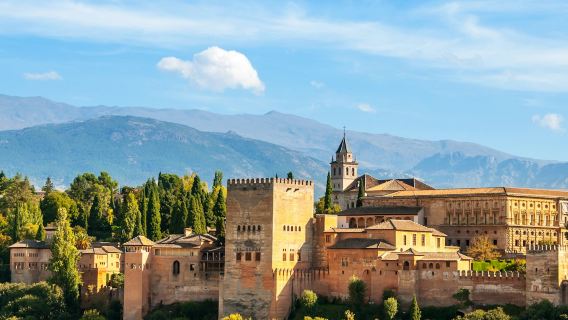 Alhambra e Palazzi Nasridi: biglietto salta fila + visita guidata