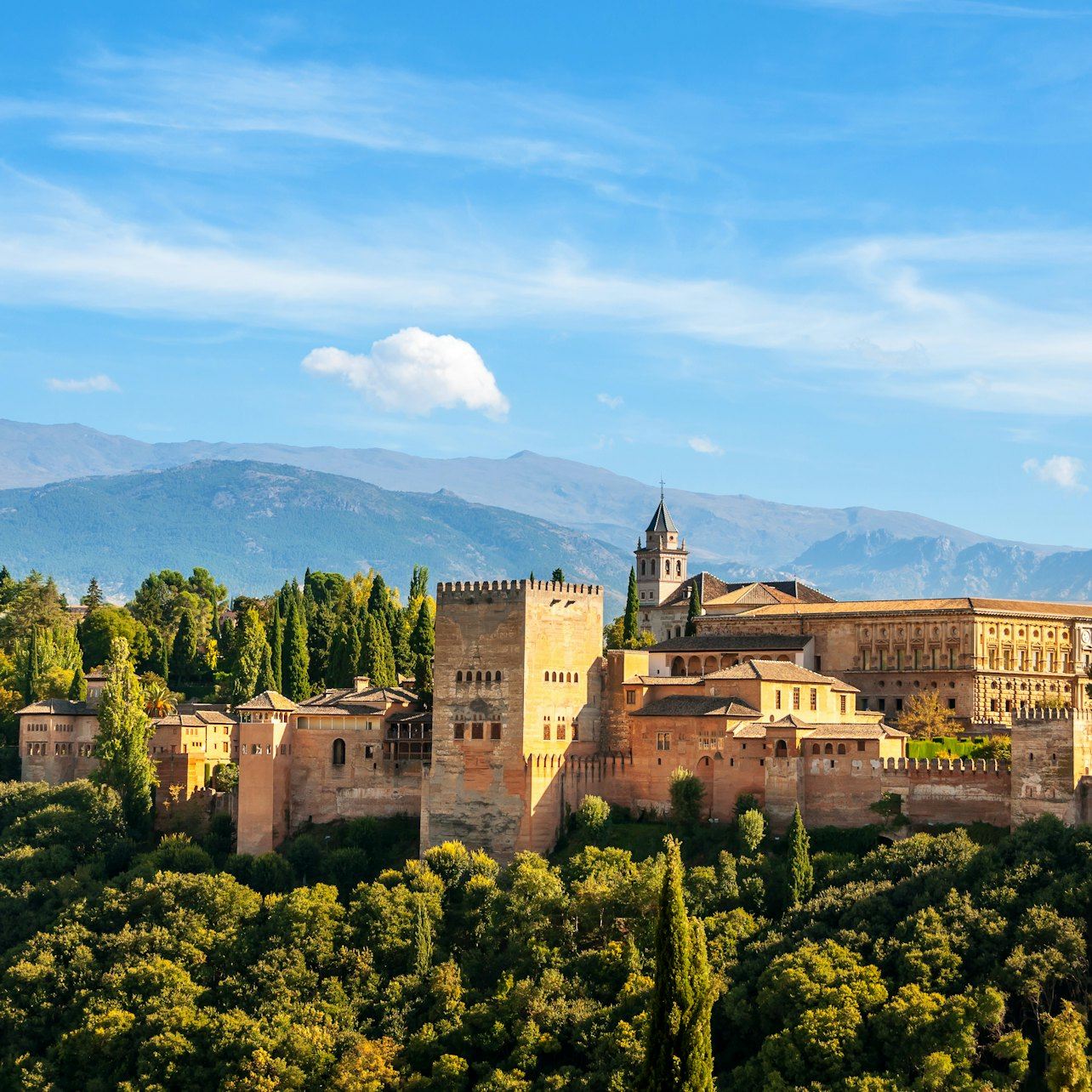 Alhambra e Palazzi Nasridi: biglietto salta fila + visita guidata