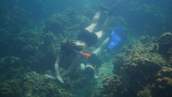 Shared Snorkeling Trip from Manila to Anilao Batangas