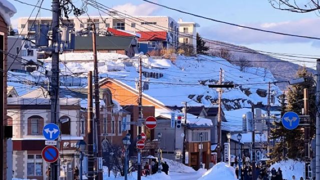 日本札幌-小樽八音盒朝裡等/可登別富良野北海道多日包車-精選