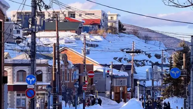 日本札幌-小樽八音盒朝裏等/可登別富良野北海道多日包車-精選