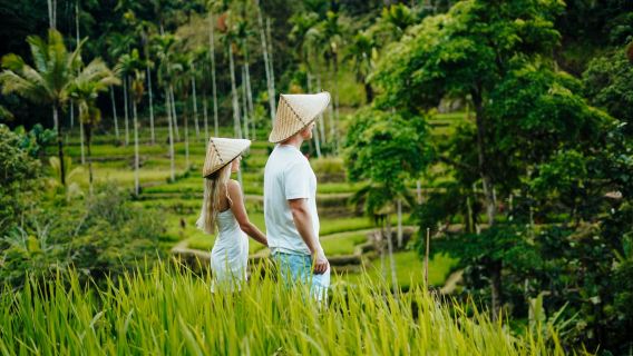 ที่พักผ่อนในอูบุด: วัดน้ำ, น้ำตกในป่า และนาข้าวขั้นบันได