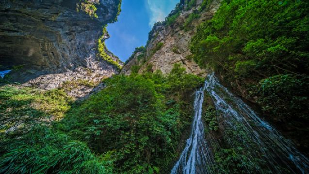 Tour di 1 giorno al Ponte di Vetro del Grand Canyon di Zhangjiajie: Servizio di auto privata + Biglietti (Ammira le incredibili passerelle sospese e i panorami mozzafiato del canyon)