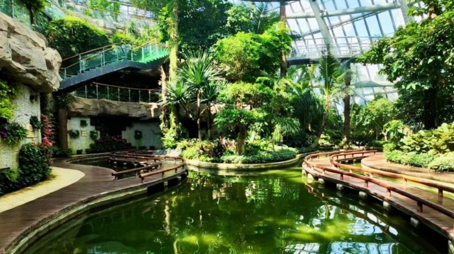 惠州西湖+惠州市植物園+步道灣+十里銀灘【西湖美景@獨立包團】