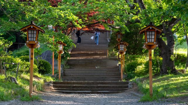 Mount Fuji Scenic Highlights Day Tour