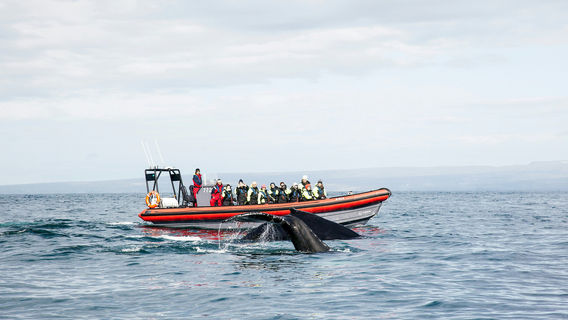 Husavik