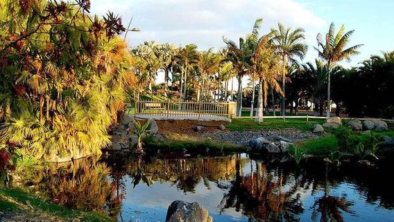 Santa Cruz de Tenerife