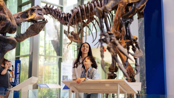 Witte Museum: Entry Ticket