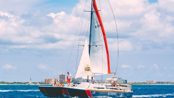 Catamaran Half Day Champagne & Brunch Cruise
