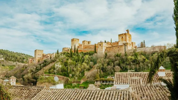 Alhambra & Nasrid Palaces: Entry Ticket + Audio Guide + City Pass
