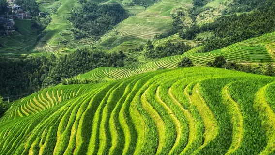 China Guilin + Longji Rice Terraces + Huangluo Yao Village + Jinkeng Dazhai / private charter door-to-door pick-up self-guided tour M