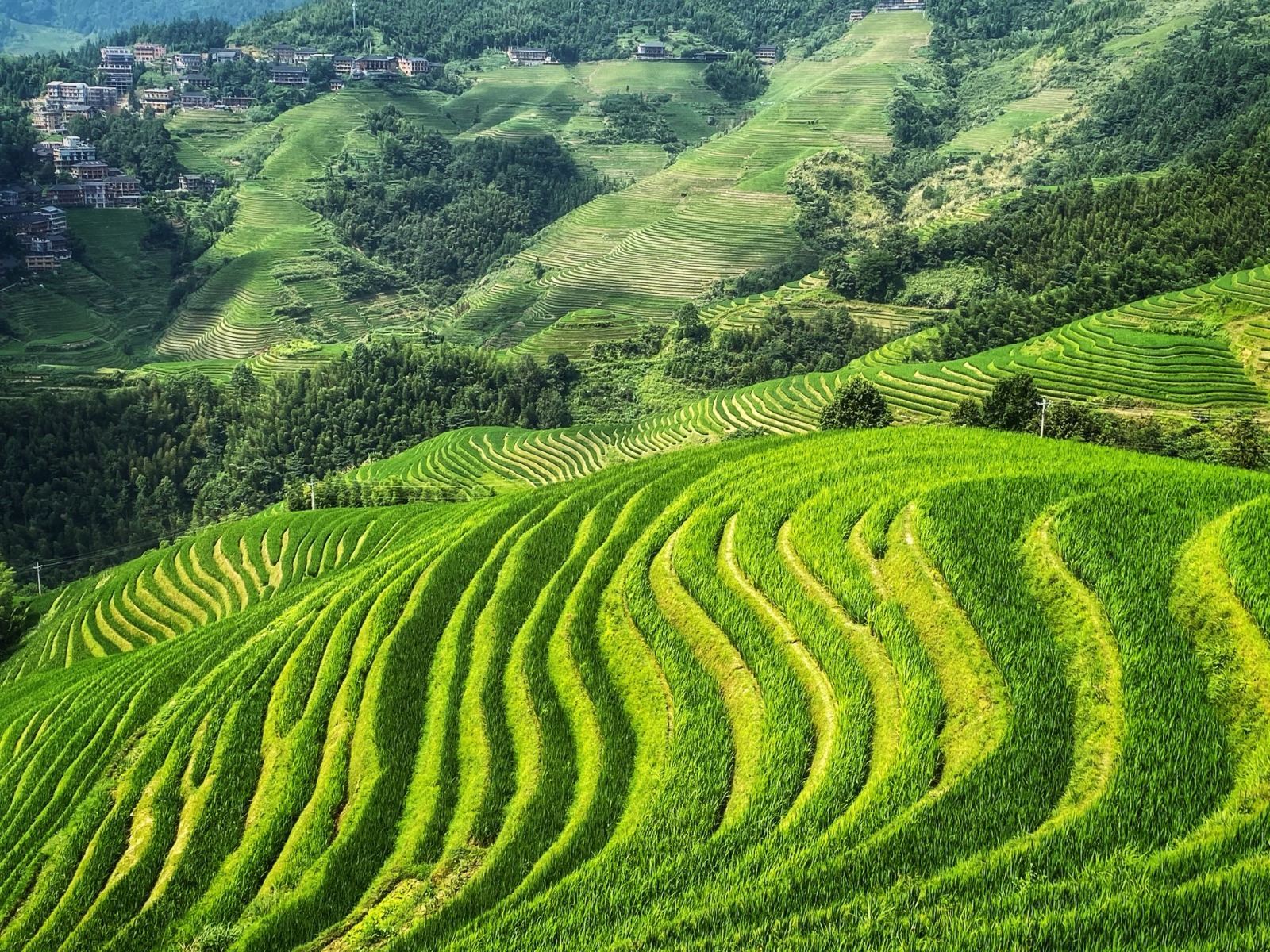 Guilin + Longji Rice Terraces + Huangluo Yao Village + Jinkeng Dazhai Self-guided Tour with Private Charter Transfer