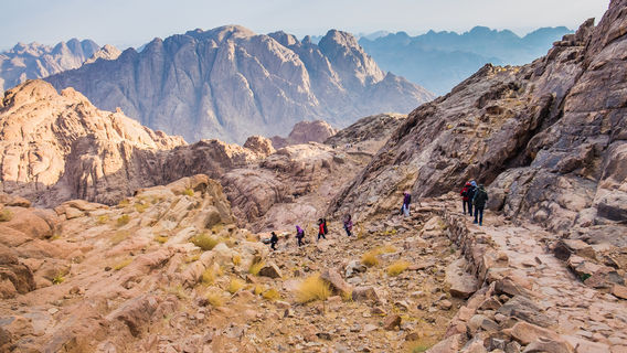 Sharm El SheikhTours