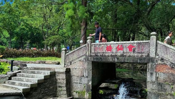 Huizhou Luofu Mountain + West Lake + Dongjiang Column Memorial Hall + Fenghu Academy one-day tour English service available