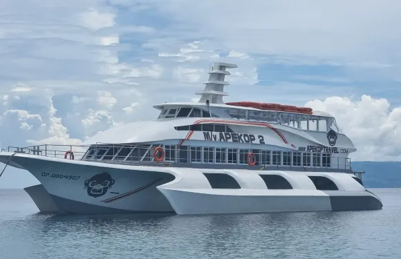 保和島-奧斯洛布來回船票｜高效往返 鯨鯊觀景快捷線路