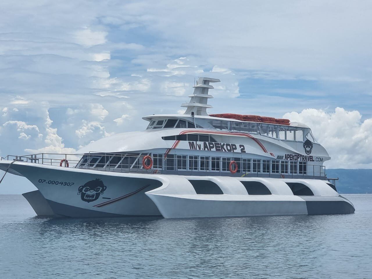 Bohol-Oslob round-trip boat ticket | Efficient round-trip route for quick whale shark viewing