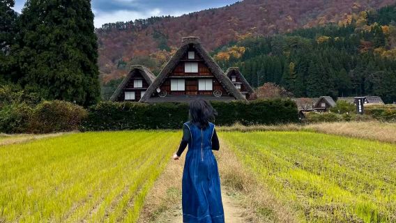 Nagoya andata e ritorno|Tour di un giorno a Takayama e Villaggi storici di Shirakawa-go e Gokayama con opzione per piccoli gruppi di 9 persone, due corse giornaliere.