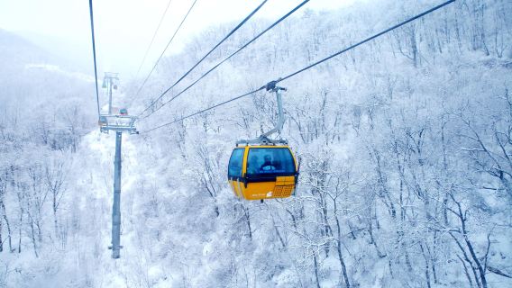 [Hanya Musim Dingin] kereta gantung Gantung Balwangsan + Peternakan Domba Daegwallyeong