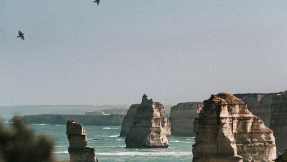 墨爾本大洋路一日遊【中文司導+多團型任選+市區多站點接駁】