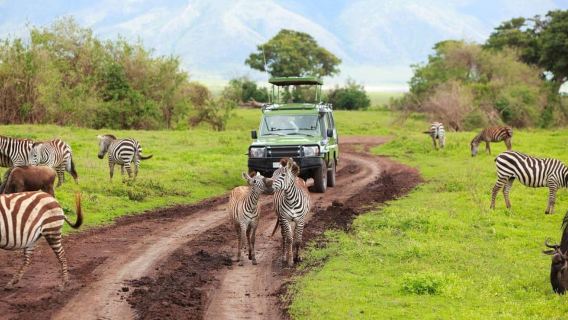Croisière en bateau et safari d'une journée à Isimangaliso au départ de Durban