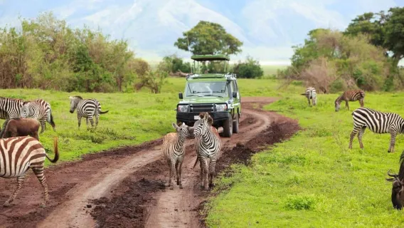 德班出發，伊西曼格利索遊船和狩獵一日遊