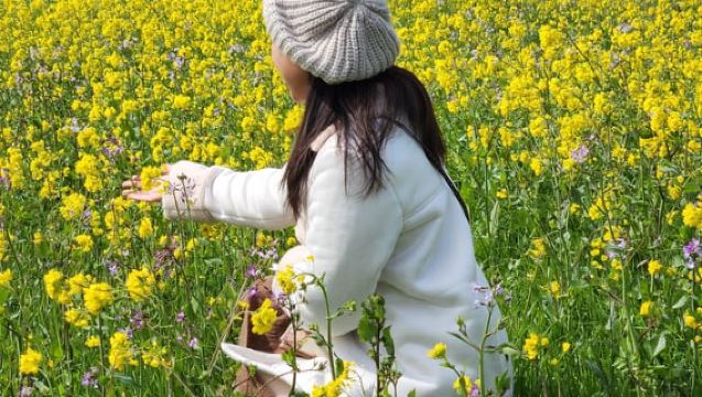 Jeju: Southern Top UNESCO Spots Bus Tour Hiking MT.Halla