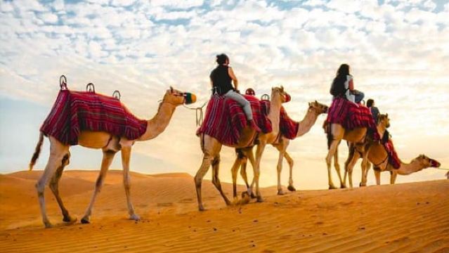 Doha: Quad/buggy, Dune Bashing, Paseo en camello, Tour por el desierto