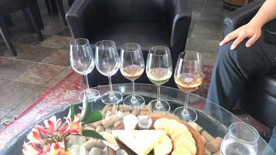 CT: Casa de jirafas, leones, leopardos, tigres y cata de vinos