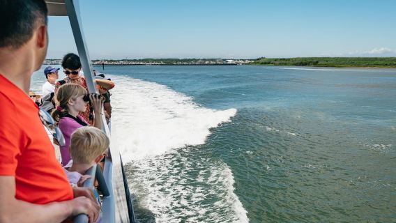 Cape May: Jersey Shore Whale and Dolphin Watching Cruise