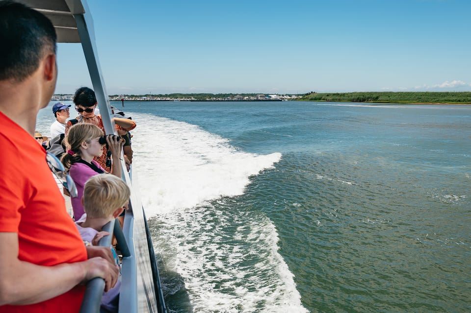 Cape May: Jersey Shore Whale and Dolphin Watching Cruise