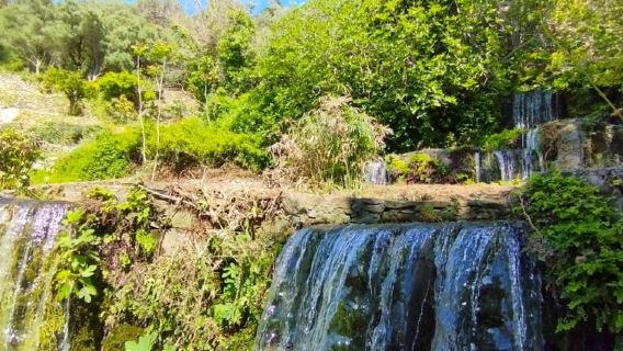Da Chania: tour guidato del lago Kournas e delle sorgenti di Argiroupoli