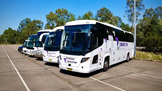 Sydney: Zoo, Blue Mountains and Scenic World Mandarin Tour