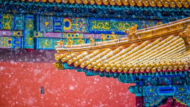 北京故宮一日遊【可單獨成團·上門接送·4小時精講·人員導覽·不含門票·可選時間場次】