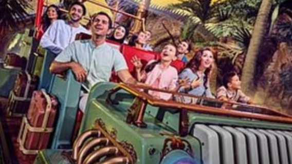 IMG Entry tickets with SIC Transfer