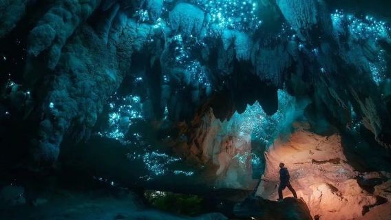 紐西蘭奧克蘭周邊比特村 + 懷託摩螢火蟲洞-包車-精選行程