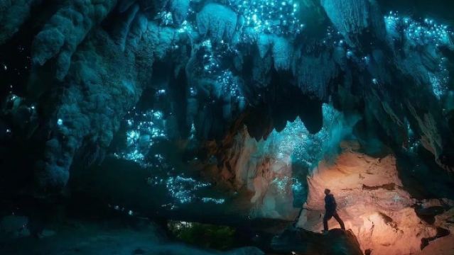 紐西蘭奧克蘭周邊比特村 + 懷託摩螢火蟲洞-包車-精選行程