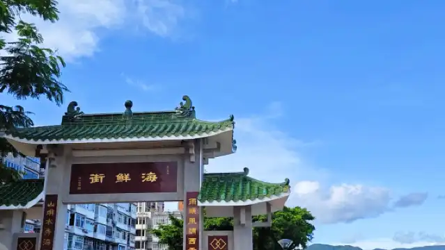 【香港包車定制遊】香港西貢+太平山頂+摩天輪一日遊