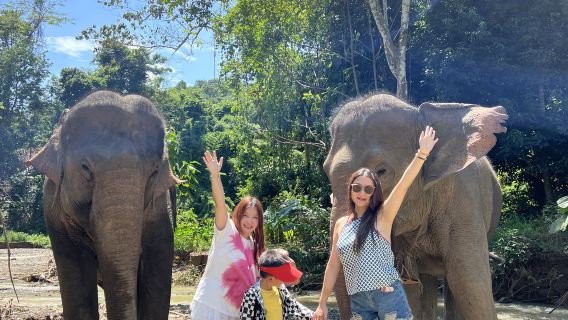 漫步原始森林大象營【與大象深度互動，感受大自然的魅力】