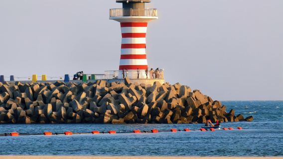 Lingshui Longtouling Viewing Platform + Qingshui Bay + Nanwan Flower Town 1-day tour - English service available