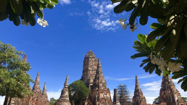 Bangkok to Phra Nakhon Si Ayutthaya round-trip day tour to Wat Chaiwatthanaram + Wat Yai Chai Mongkol + Lion King animal 1-day tour