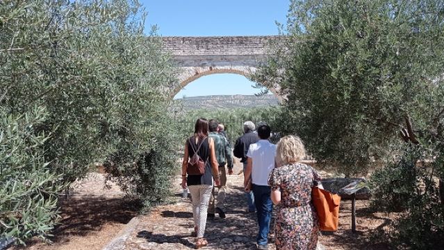 Úbeda and Baeza from Granada