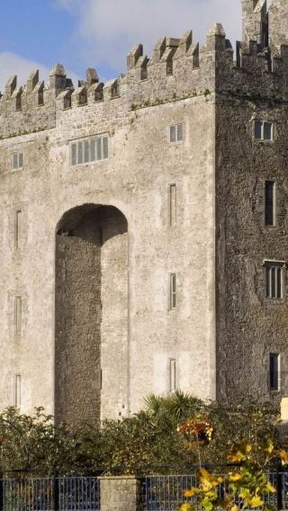 Round-trip from Dublin - Bunratty Castle & Folk Park, Cliffs of Moher and Burren National Park with Chinese private charter service
