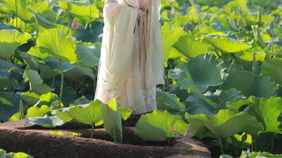 Dongxing Trip Moments[Tour photographique accompagné à la Pagode Wenchang/Estuaire de Beilun/Île Jing avec services de traduction, prise de vue, suivi, drone et séances photo de mariage ou portrait.]