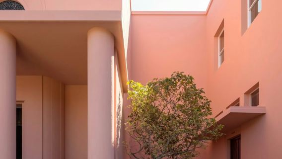 Serralves Foundation: Guided Tour