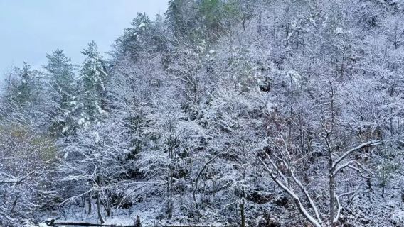 漢中留壩·獅子溝·紫柏山·情人谷純玩1日遊