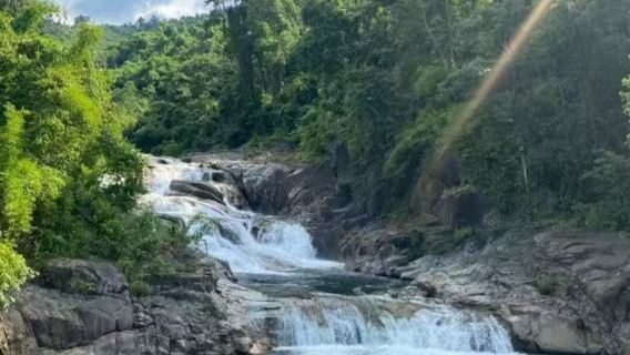 Tour 1 ngày quanh Nha Trang: Rừng oxy và hành trình thư giãn với cảnh quan thiên nhiên + Đón tận khách sạn